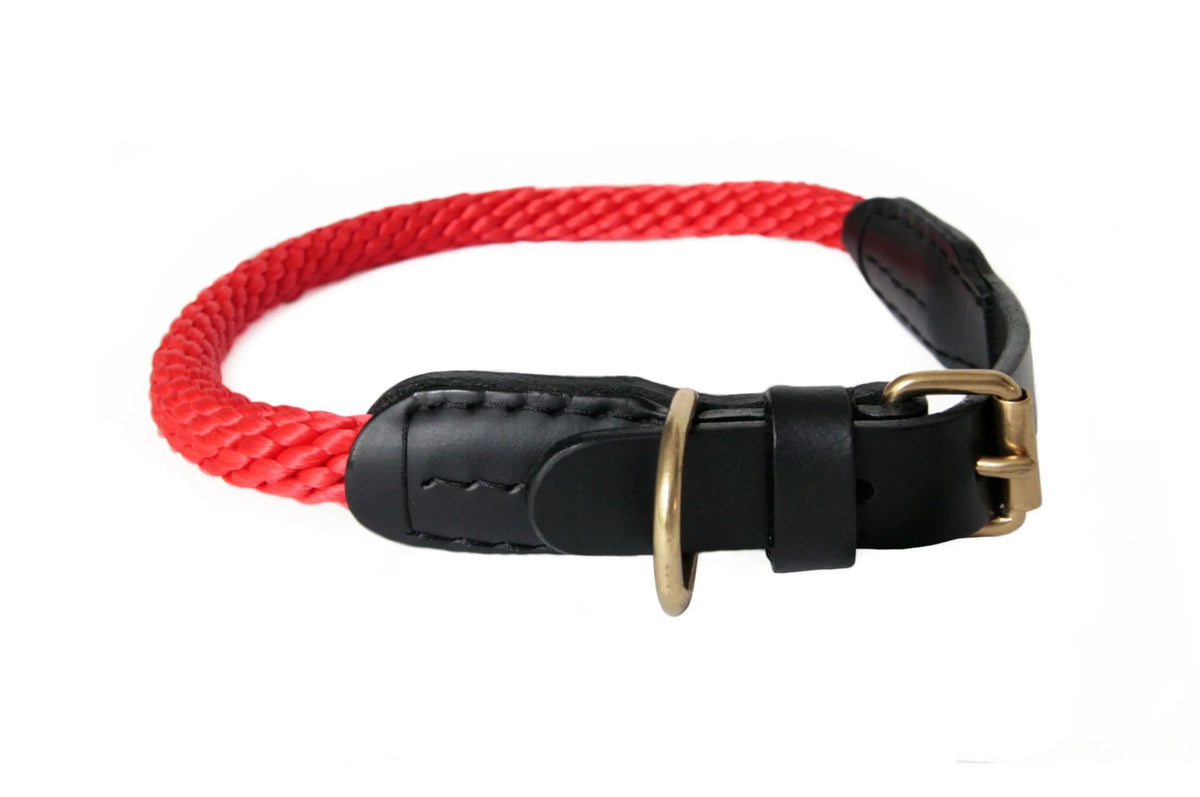 Rope and Leather Collar with Buckle (24 in)