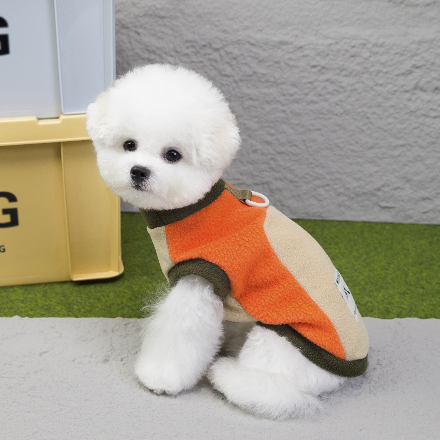 Dog Clothes For Fall And Winter