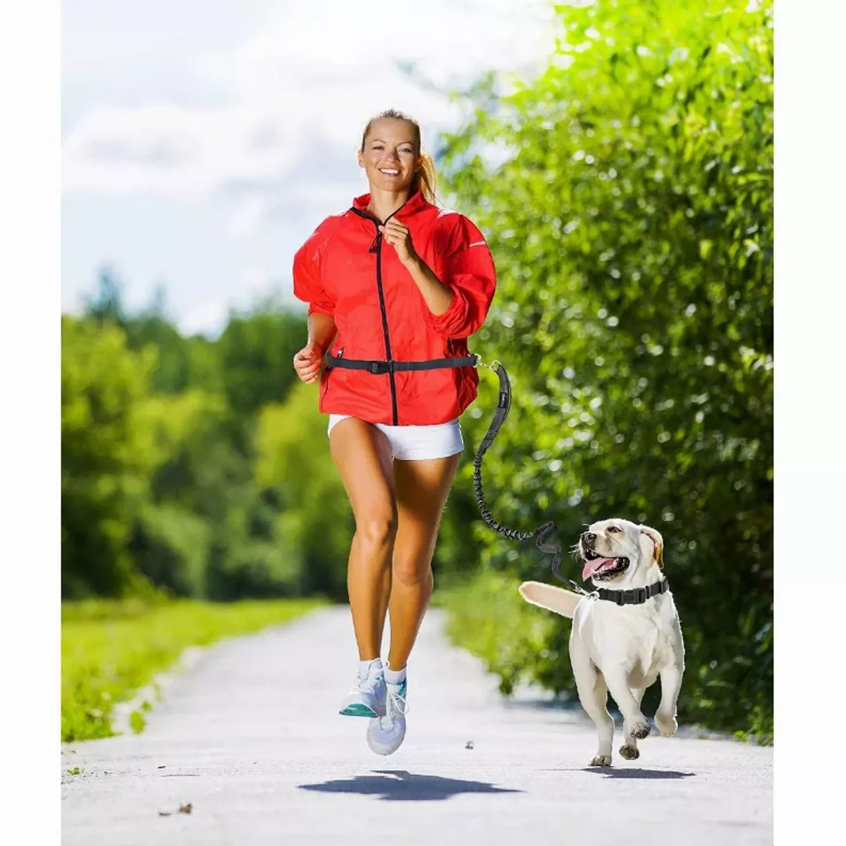 JESPET Hands Free Dog Leash for Running, Walking, Hiking Jogging for Medium & Large Dogs up to 150lbs, Durable Dual Handle Waist Leash with Reflective Bungee and Adjustable Waist