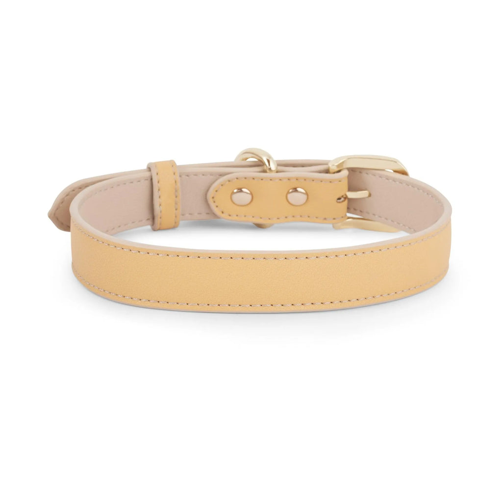 Copenhagen Dog Collar