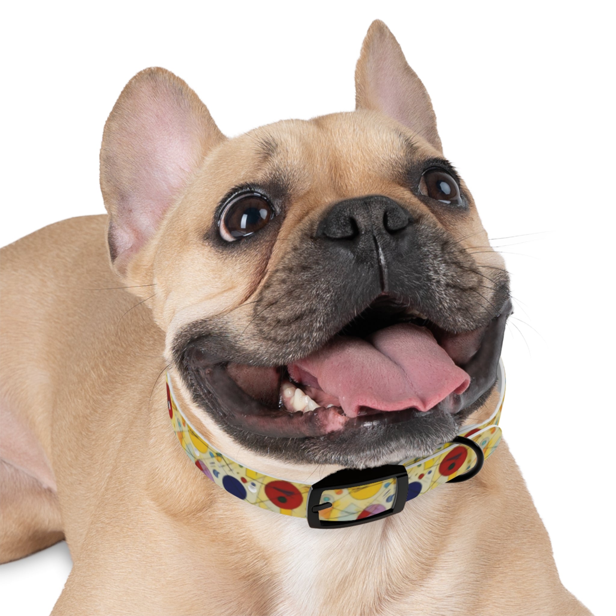 Sunlit Geometry: Orbits and Lines in Repeating Motion - Pet Collar Pet Zen