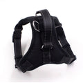 Collar Cat Pet Dog Chest Harness