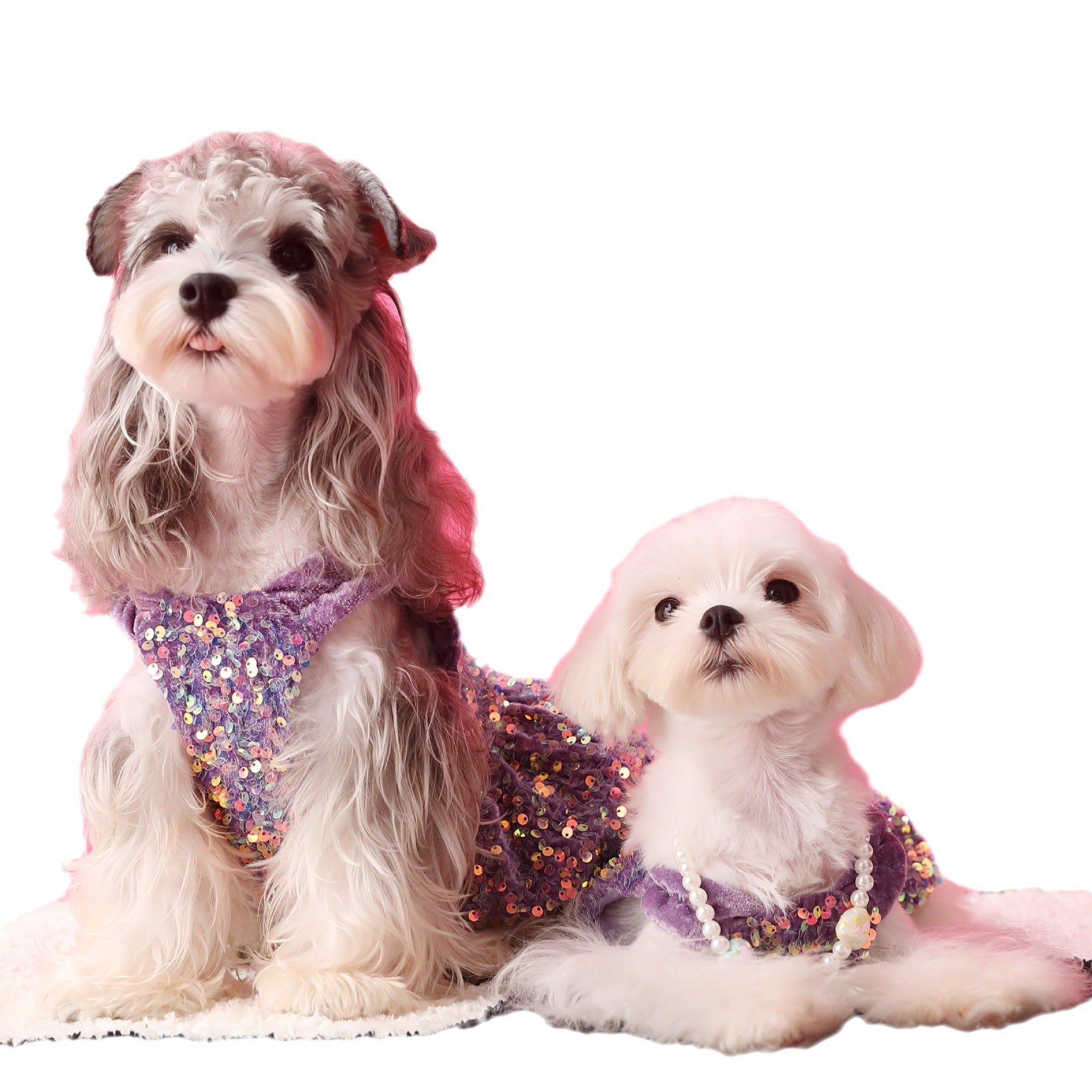 Female Dog Clothes Autumn Dress Velvet Sequins