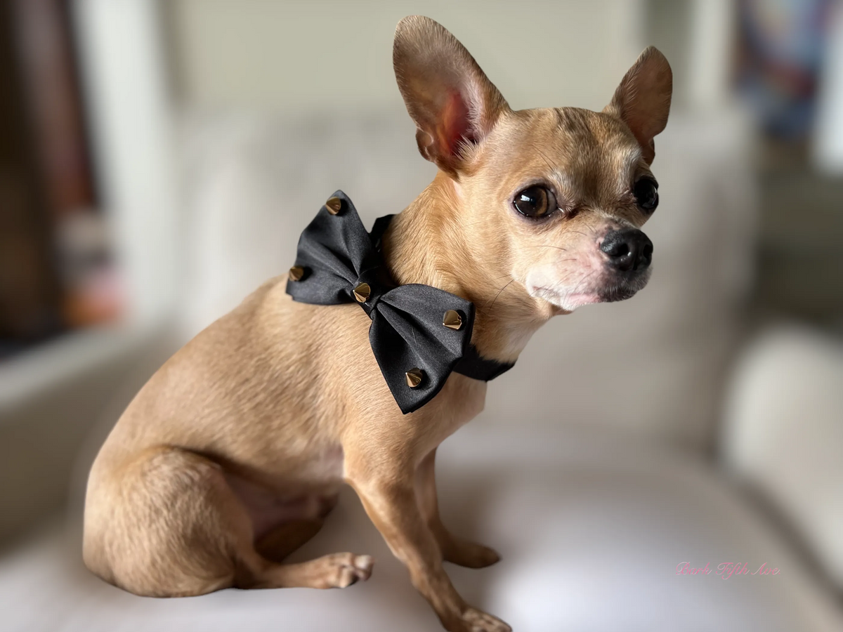 Dapper Satin Stud & Rhinestone Bowtie