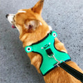 Dog's chest and back with traction rope, dog''s back with lovely vest type walking dog explosion-proof small dog collar