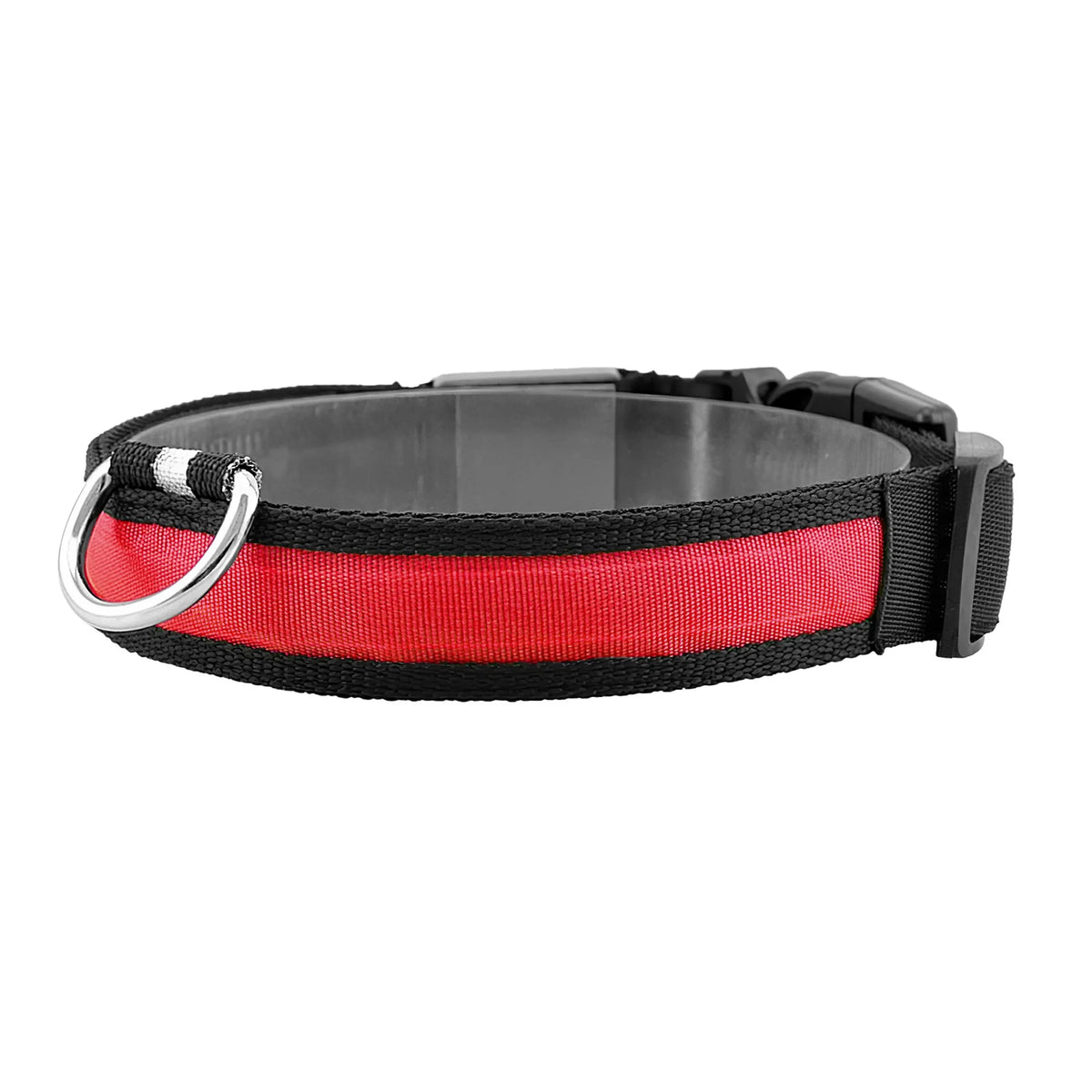 LED Dog Collar