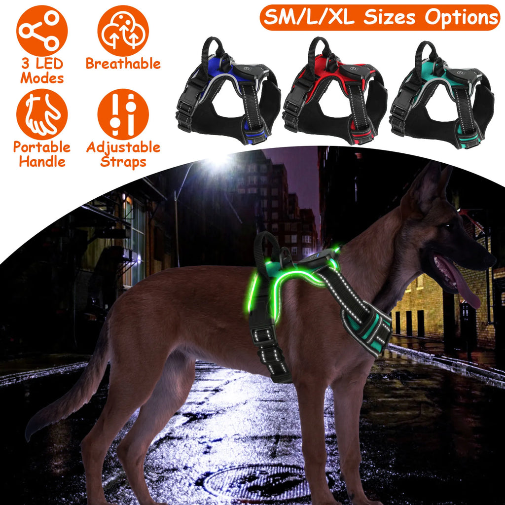 Light Up Dog Harness Rechargeable LED