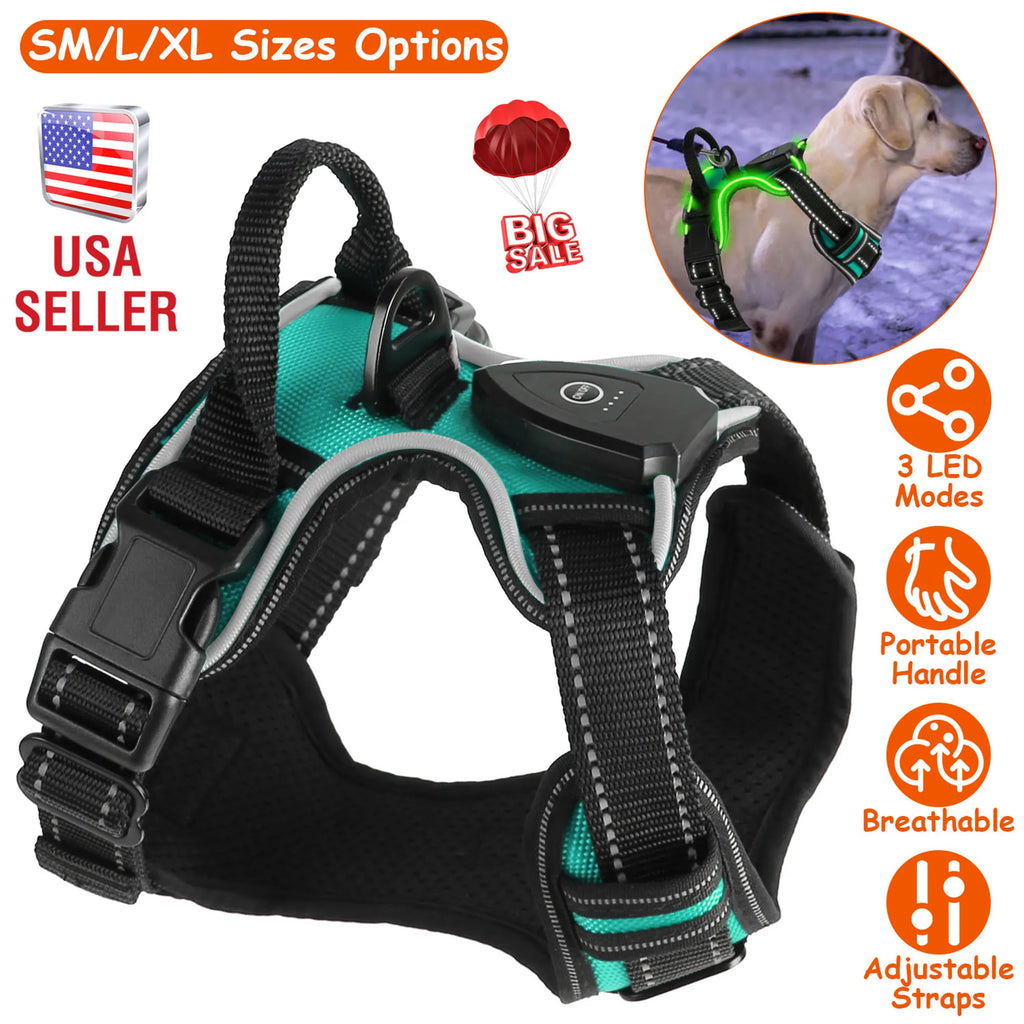 Light Up Dog Harness Rechargeable LED