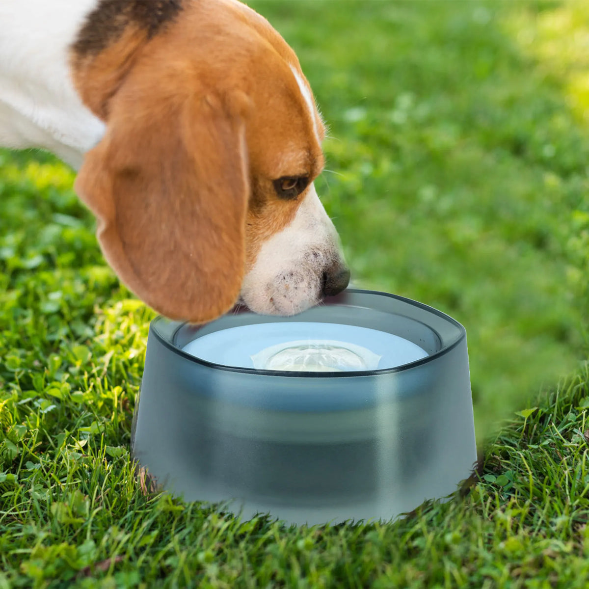 No Spill Dog Cat Water Bowl