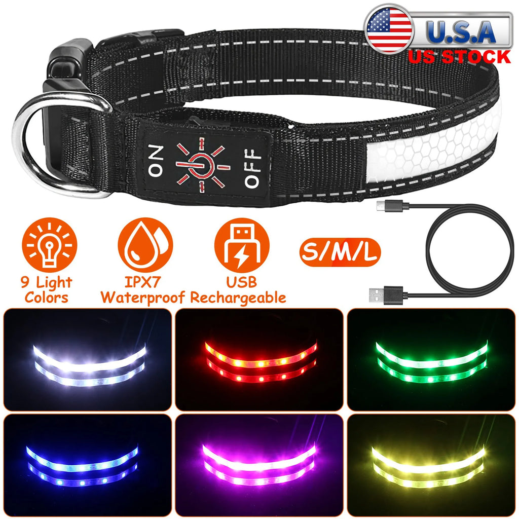 Light Up Dog Collar