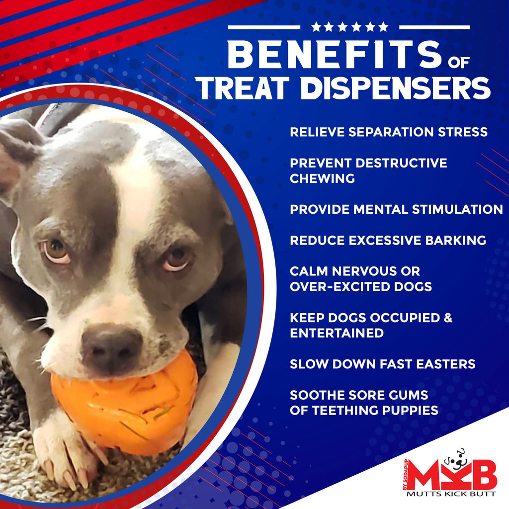 Roasted Turkey Dog Chew Toy & Treat Dispenser - USA Made | SodaPup