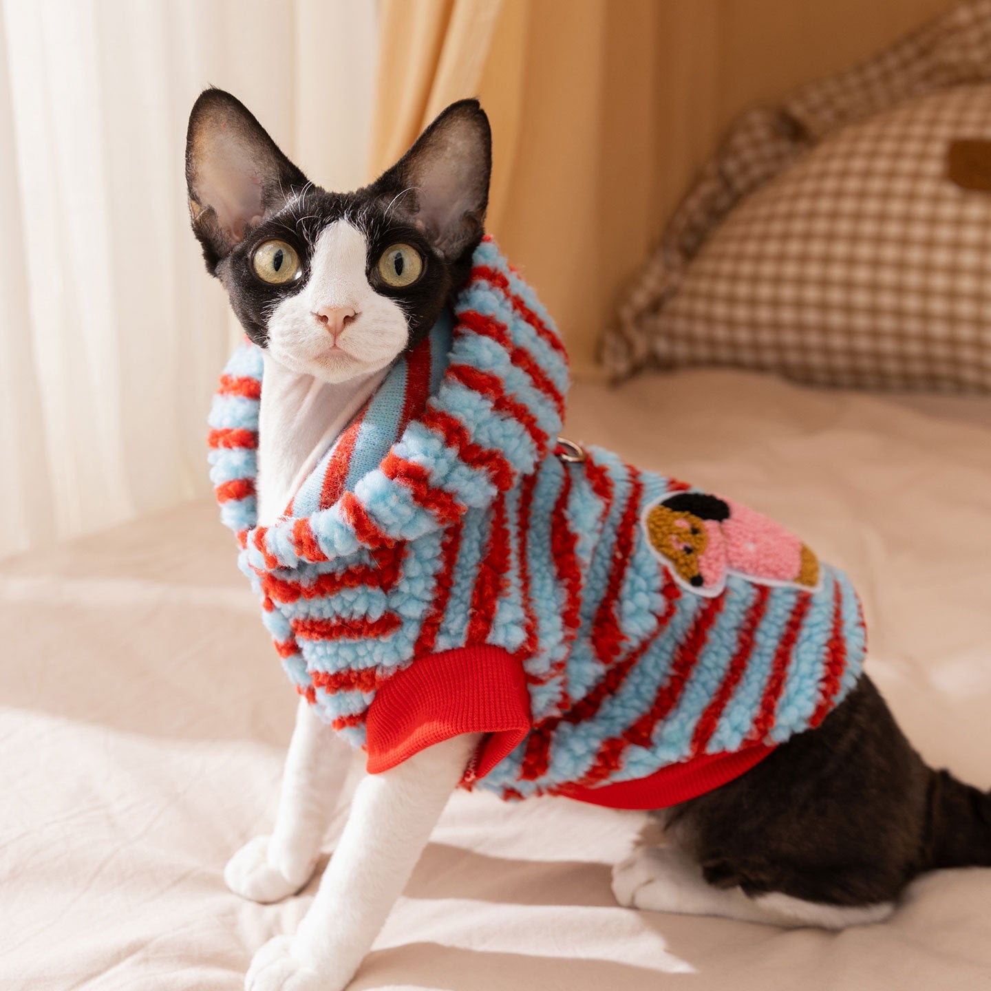 Dog Clothes Fleece Jacket Autumnwinter Style Warm Two-legged Sweater
