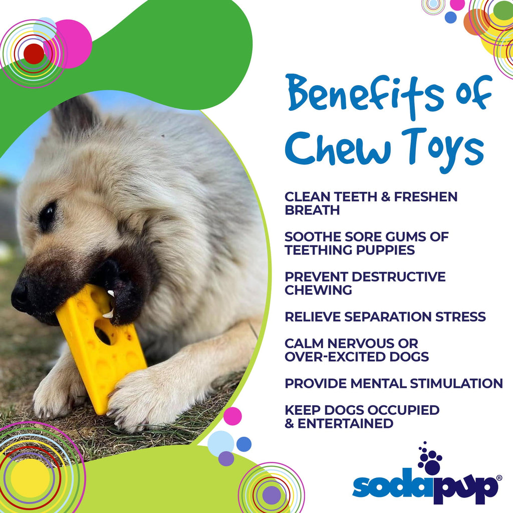 Swiss Cheese Wedge Nylon Dog Chew Toy for Aggressive Chewers | SodaPup