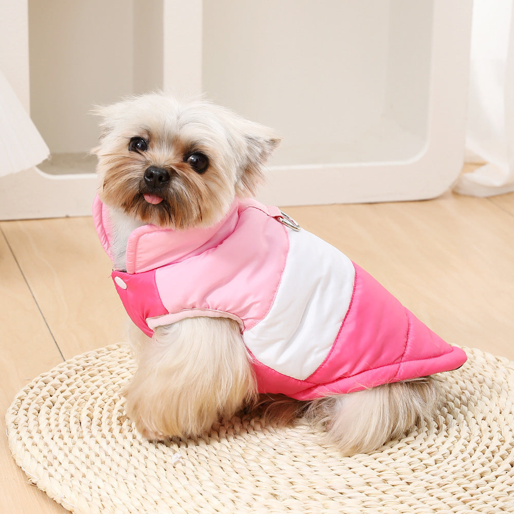 Dog Autumnwinter Coat With A Leash