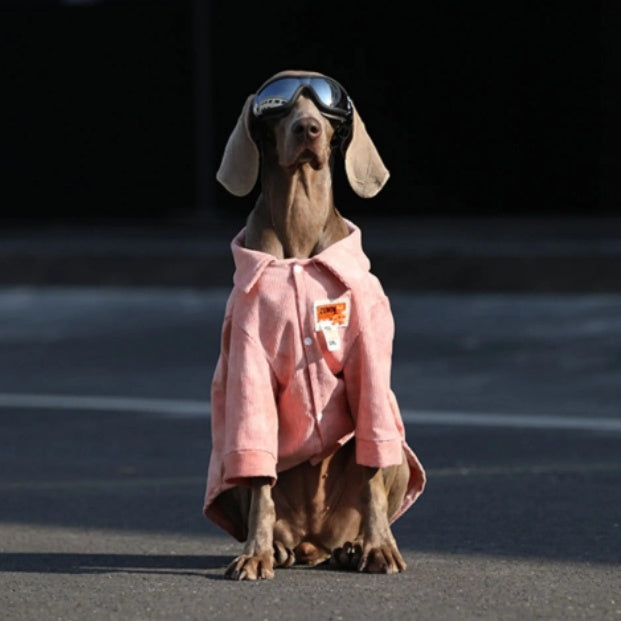 Dog Clothes For Large Breeds Labrador