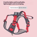 Automatic Retractable Leash And Harness