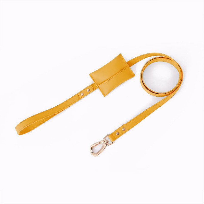 Small Dog Soft Leather Pet Box Harness
