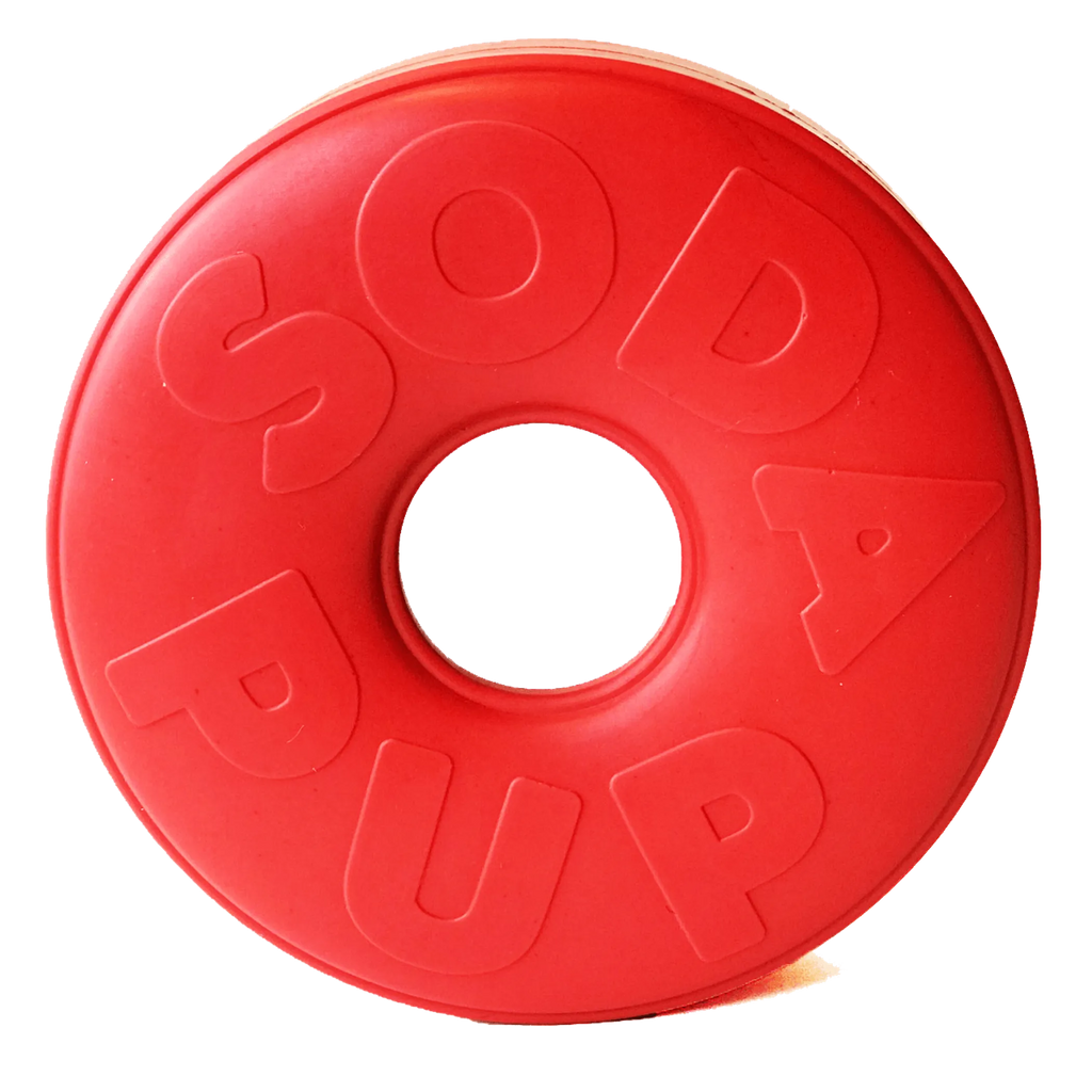 Life Ring eDispener Durable Rubber Chew Toy & Treat Dispenser