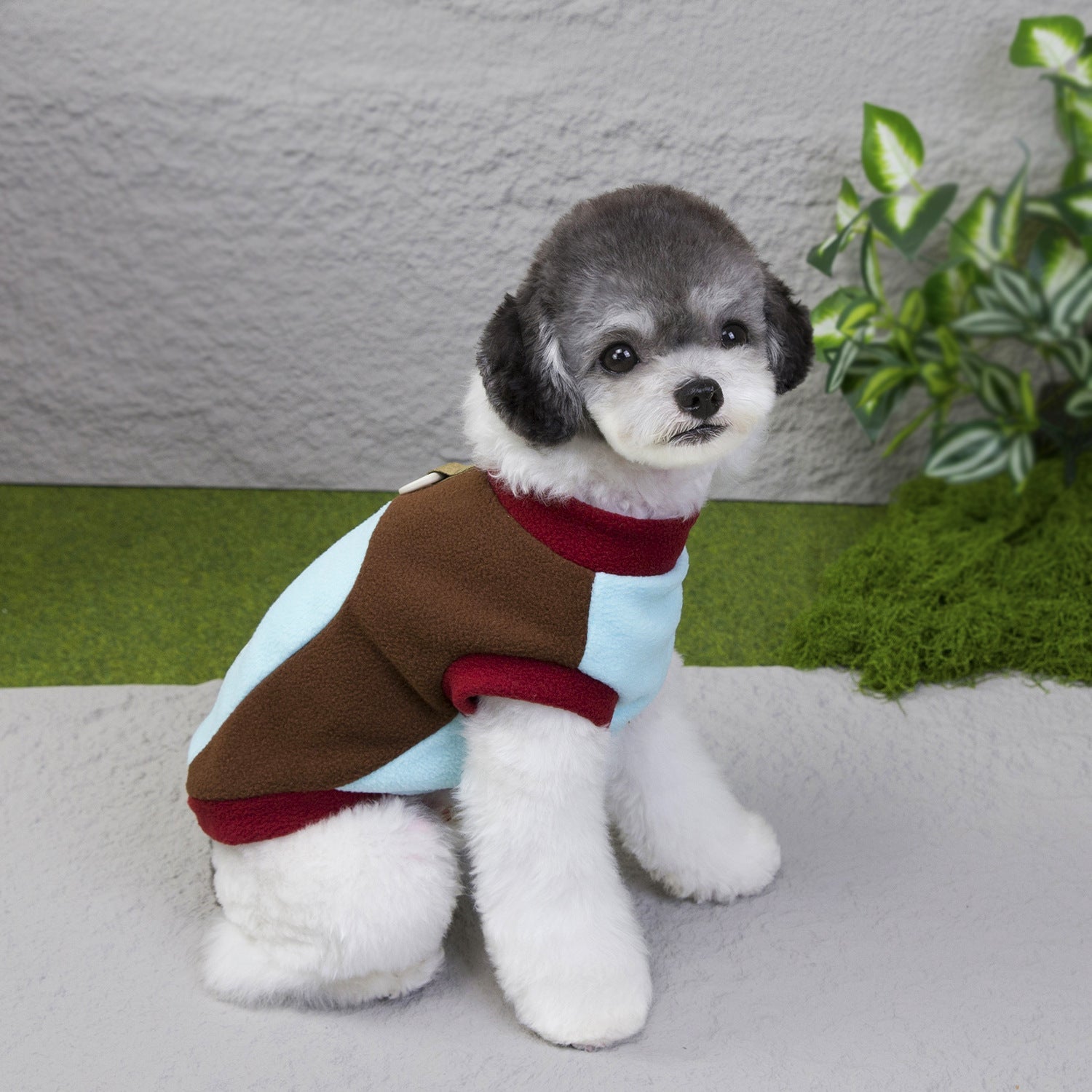 Dog Clothes For Fall And Winter