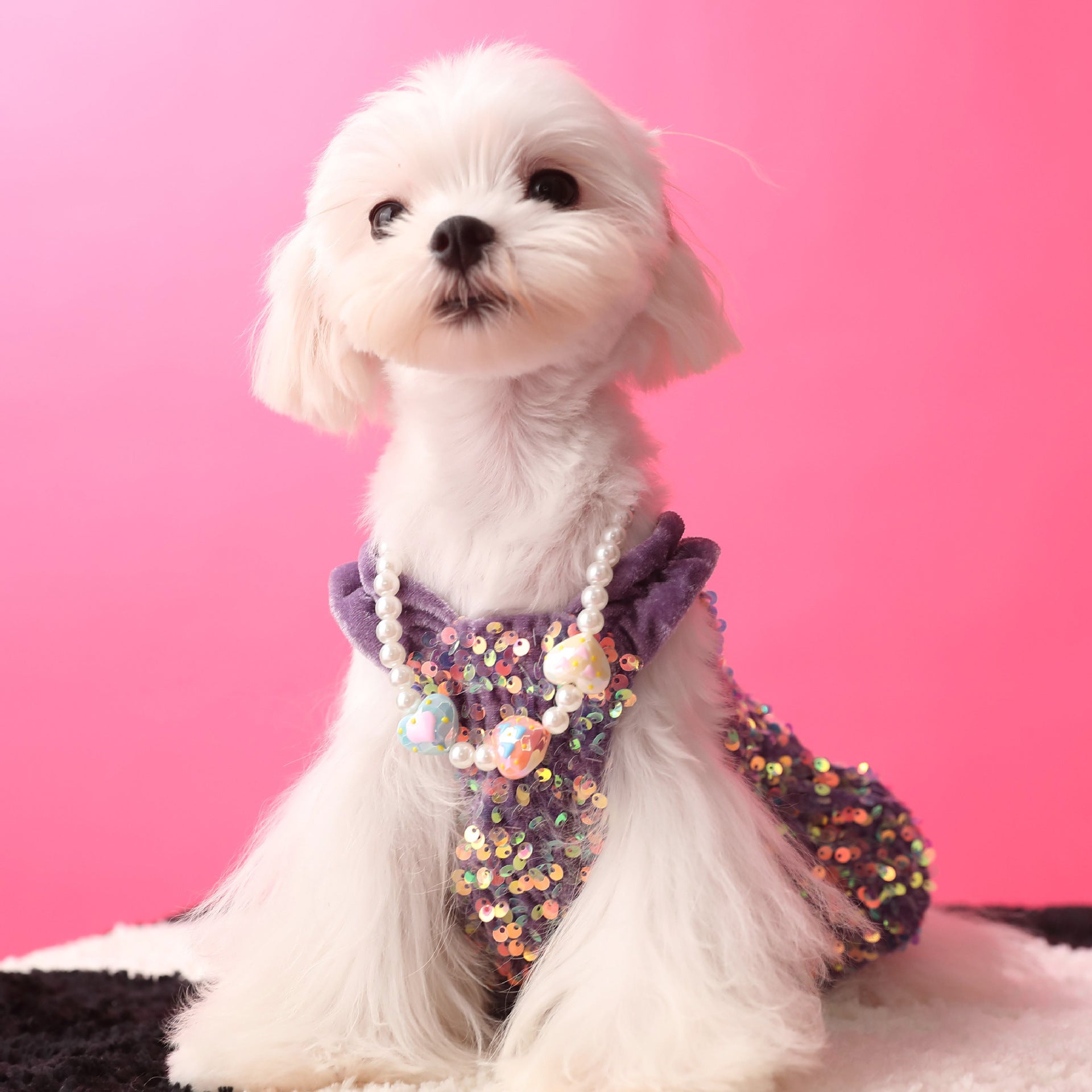 Female Dog Clothes Autumn Dress Velvet Sequins