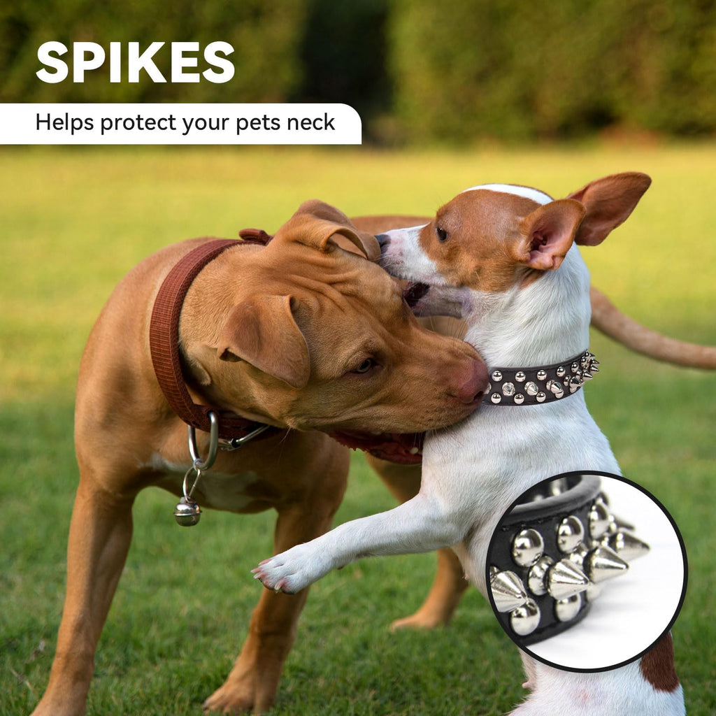 Small Spiked Black Dog Cat Collar For Small Medium Dogs Boy Male - Adjustable Studded Puppy Collars - Soft Padded Punk Leather Dog Collar For Chihuahua French Bulldog Pug