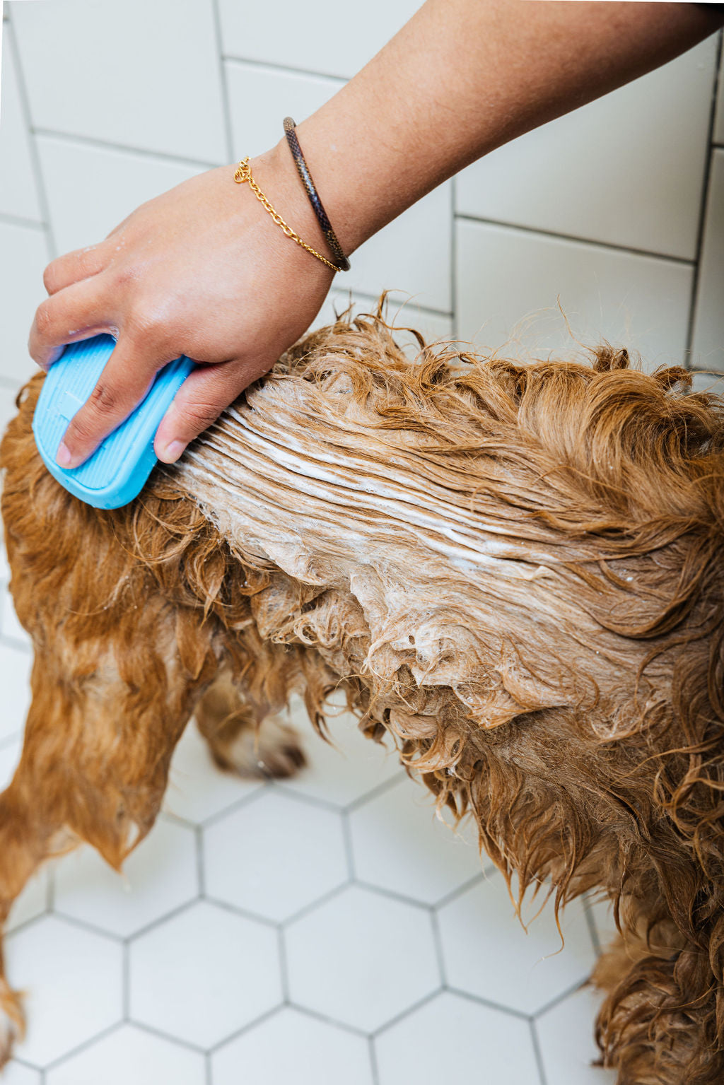 Pure-Pup (Dog Shampoo & Conditioner Duo)