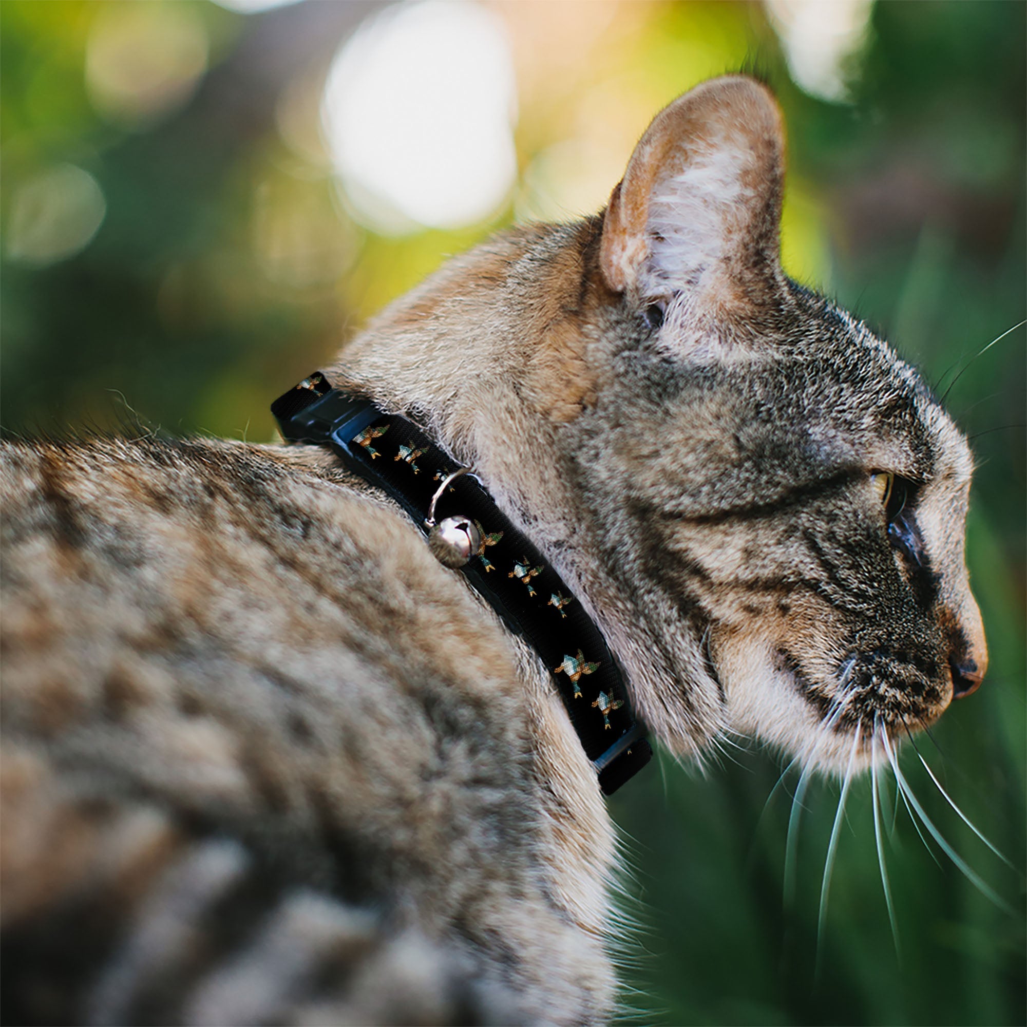 Cat Collar Breakaway - Flying Mallards Black