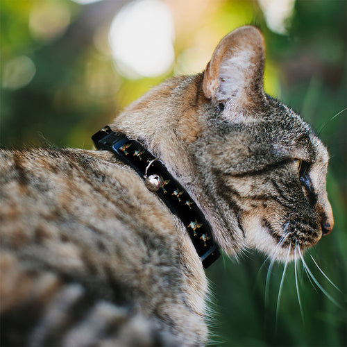 Cat Collar Breakaway - Flying Mallards Black