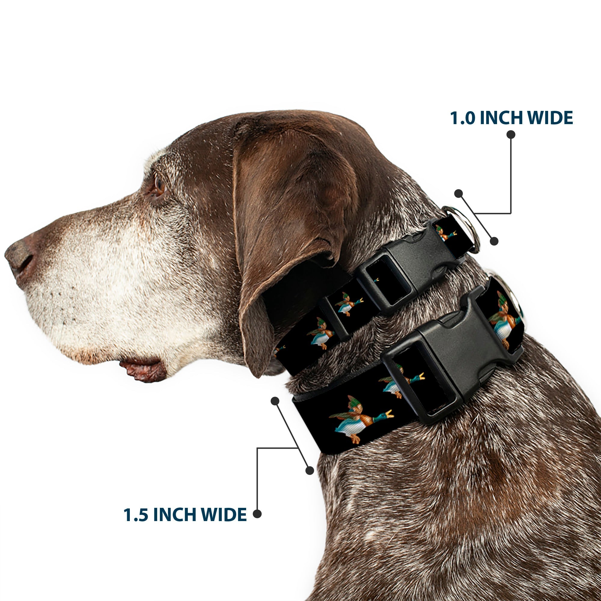 Plastic Clip Collar - Flying Mallards Black