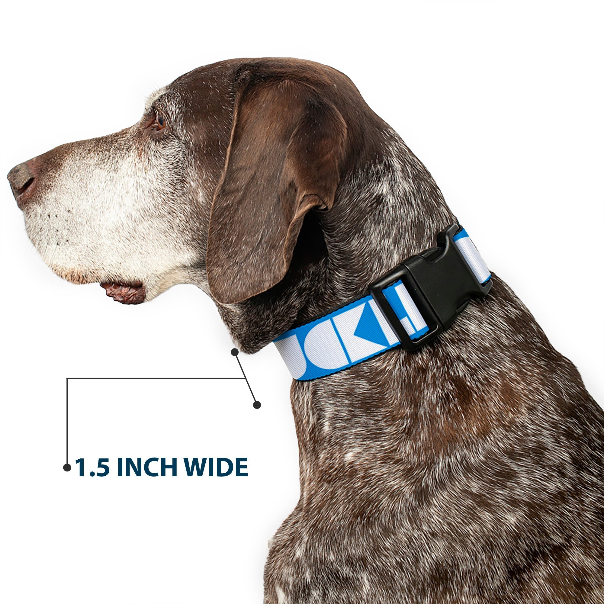 Plastic Clip Collar - BUCKLE-DOWN Shapes Turquoise/White