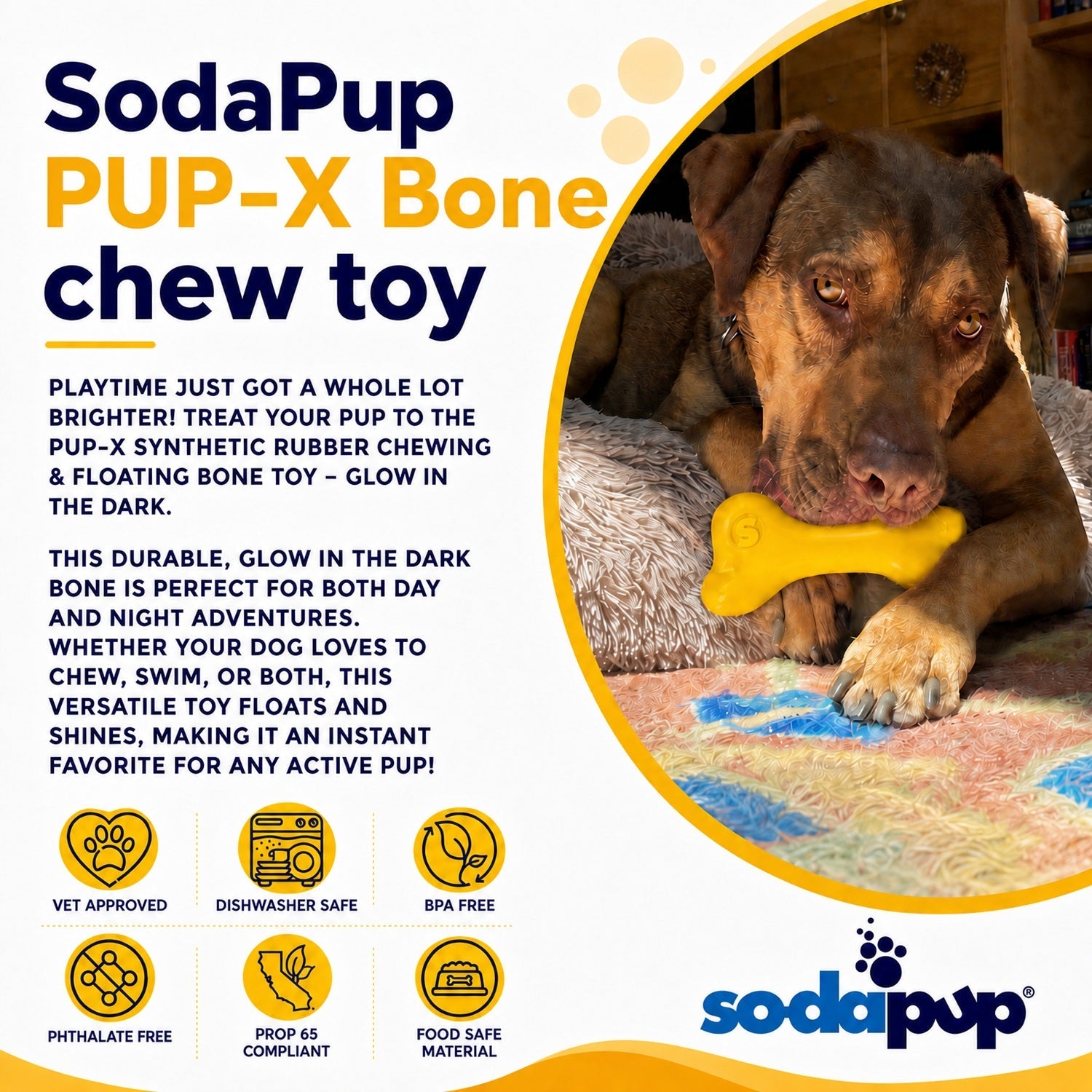 PUP-X Rubber Bone Dog Toy - Durable, Floats, Chew Toy for Large Dogs | USA