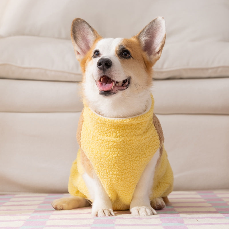 Cute Bear Embroidered Pet Fleece Jacket With Plaid Pockets, Warm Zippered Dog Coat With Leash Ring For Small Dogs