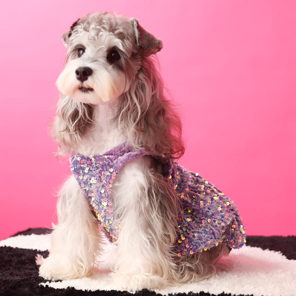Female Dog Clothes Autumn Dress Velvet Sequins