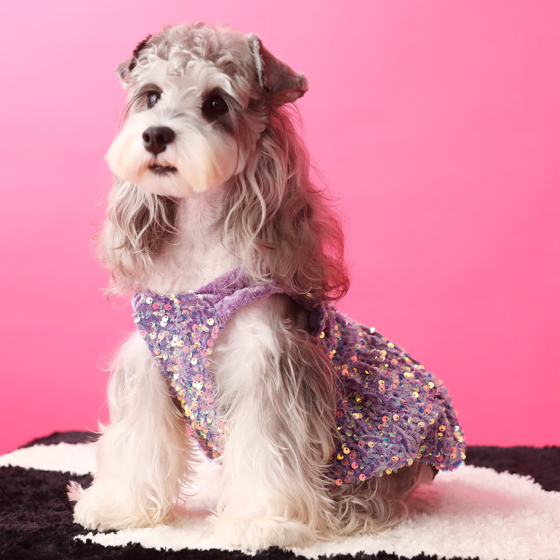Female Dog Clothes Autumn Dress Velvet Sequins