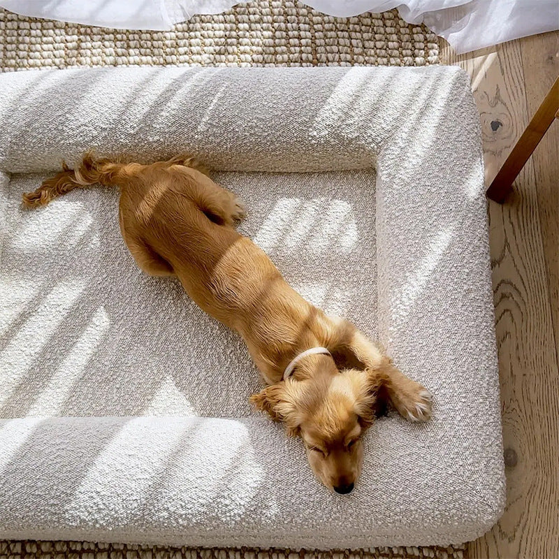 High-end Dog Bed With Memory Foam Waterproof And Removable For Washing