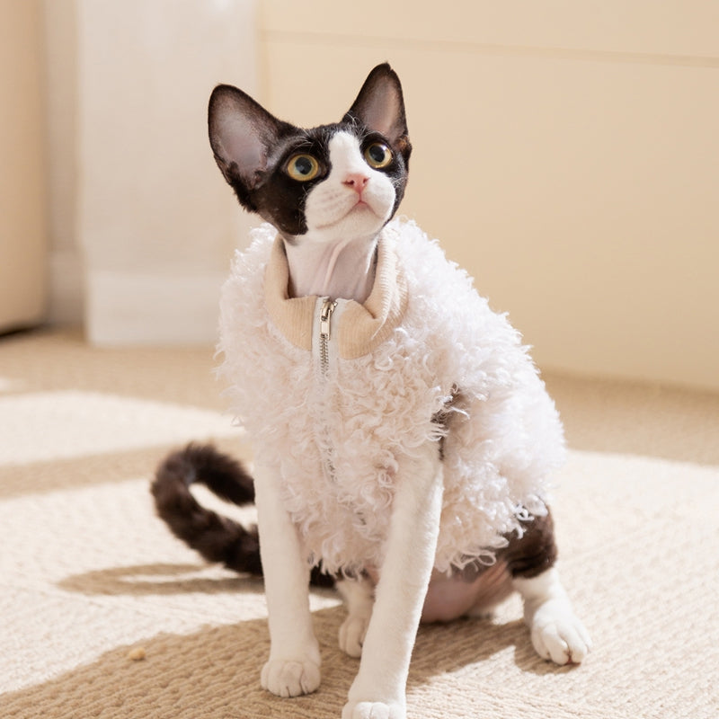 The Fluffy Sheep Wool Pet Vest, The Cute Panda Badge And The Warm Winter Coat Are For Small Cats And Dogs