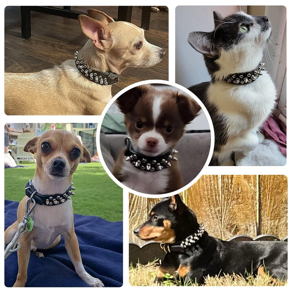 Small Spiked Black Dog Cat Collar For Small Medium Dogs Boy Male - Adjustable Studded Puppy Collars - Soft Padded Punk Leather Dog Collar For Chihuahua French Bulldog Pug