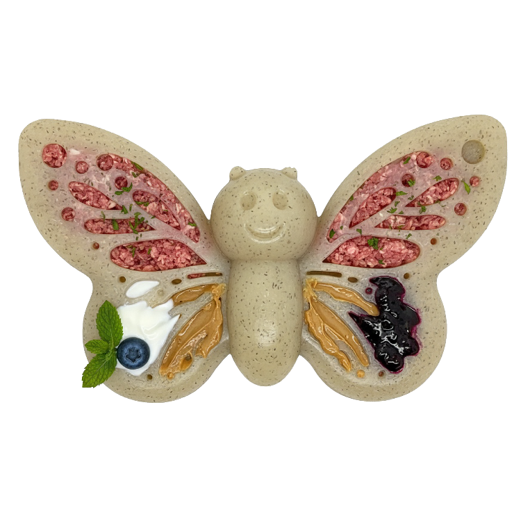 Butterfly Nylon Chew & Enrichment Toy | 2-in-1 for Aggressive Chewers | SodaPup