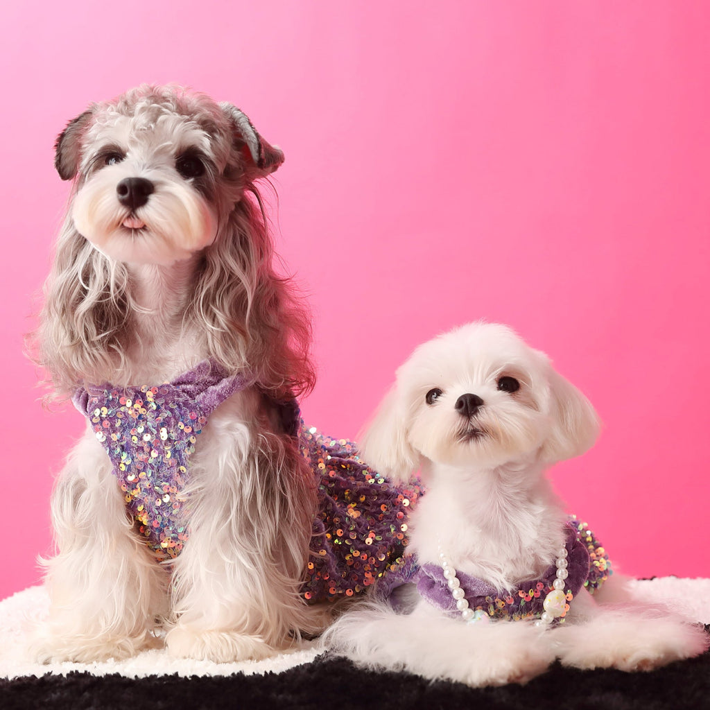 Female Dog Clothes Autumn Dress Velvet Sequins