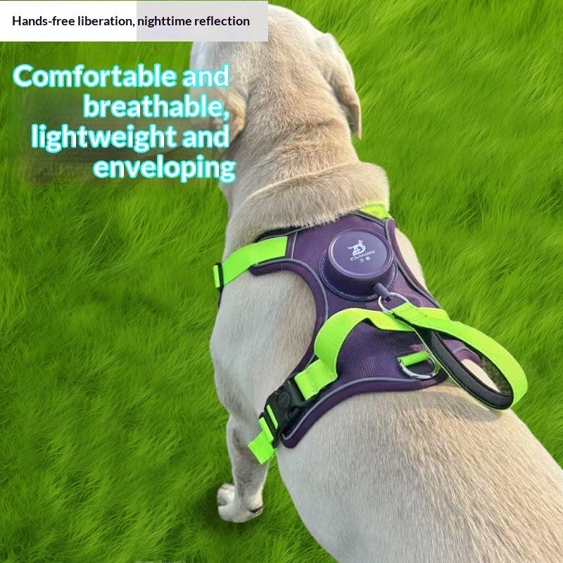 Automatic Retractable Leash And Harness