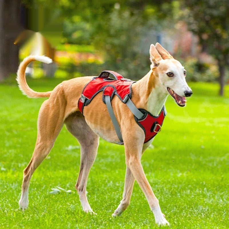 Large And Medium-sized Dog Outdoor Vest-style Harness