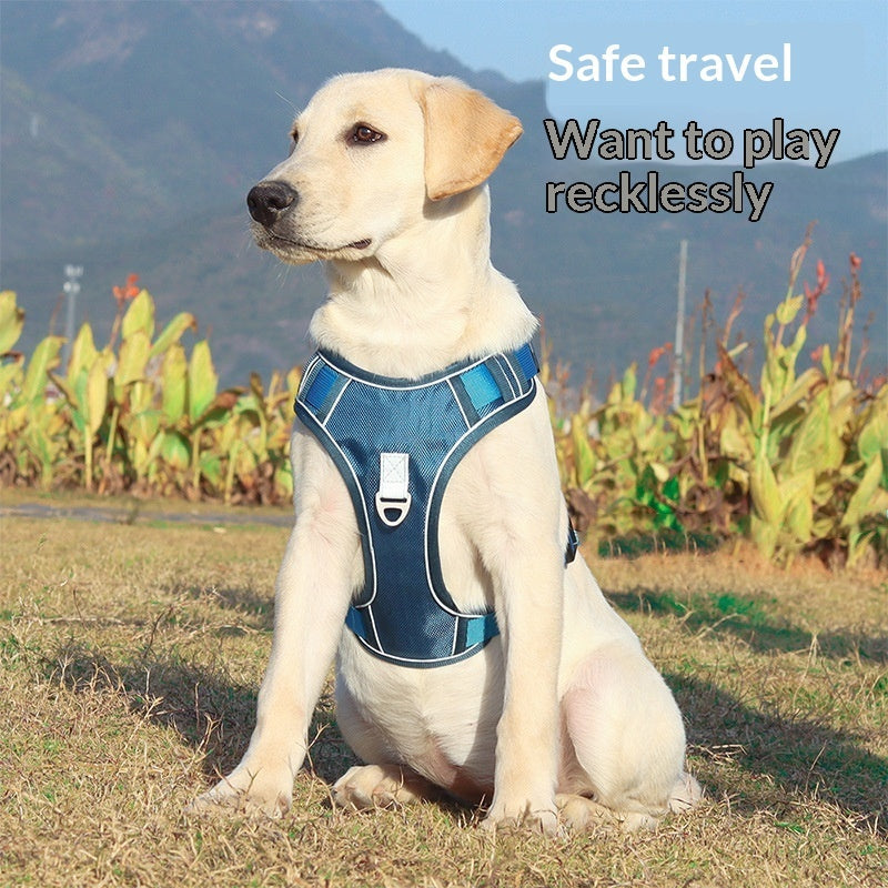Automatic Retractable Leash And Harness